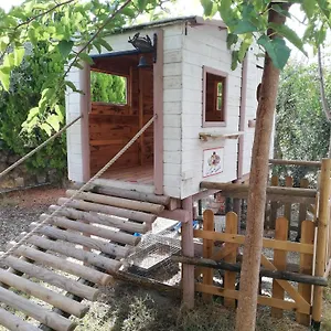Azienda Agrituristica Le Betulle Alloggio per agriturismo